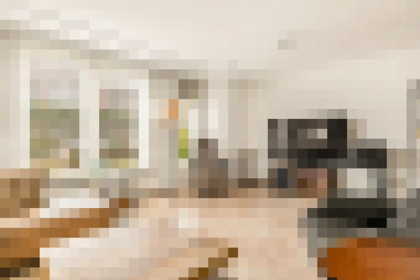 Professor Zeemanstraat 43 Zandvoort thumbnail 22