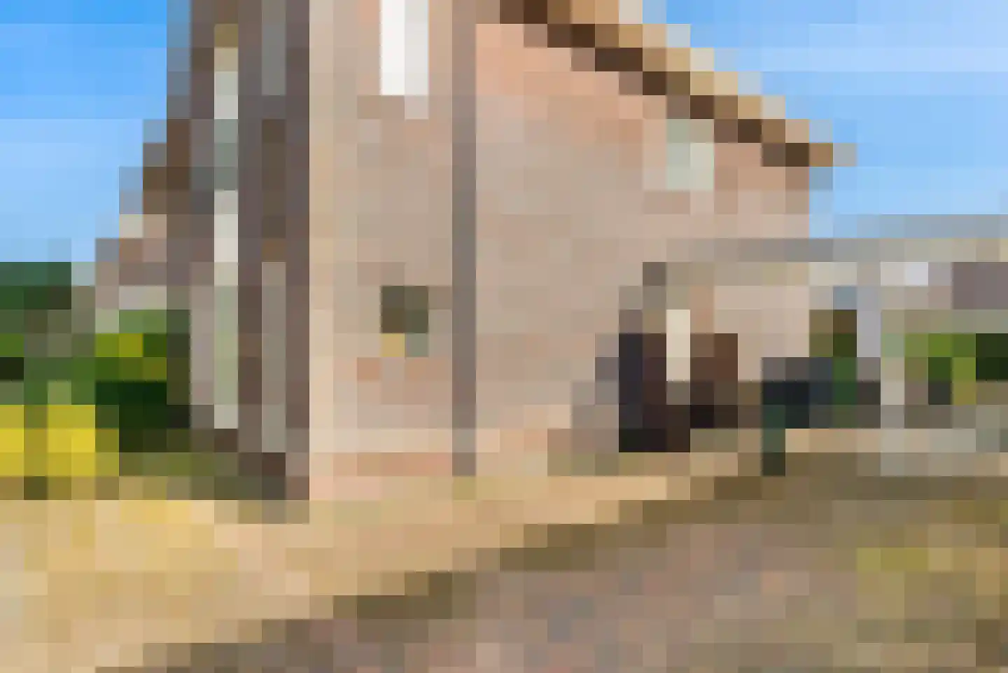 Professor Zeemanstraat 43 Zandvoort thumbnail 48