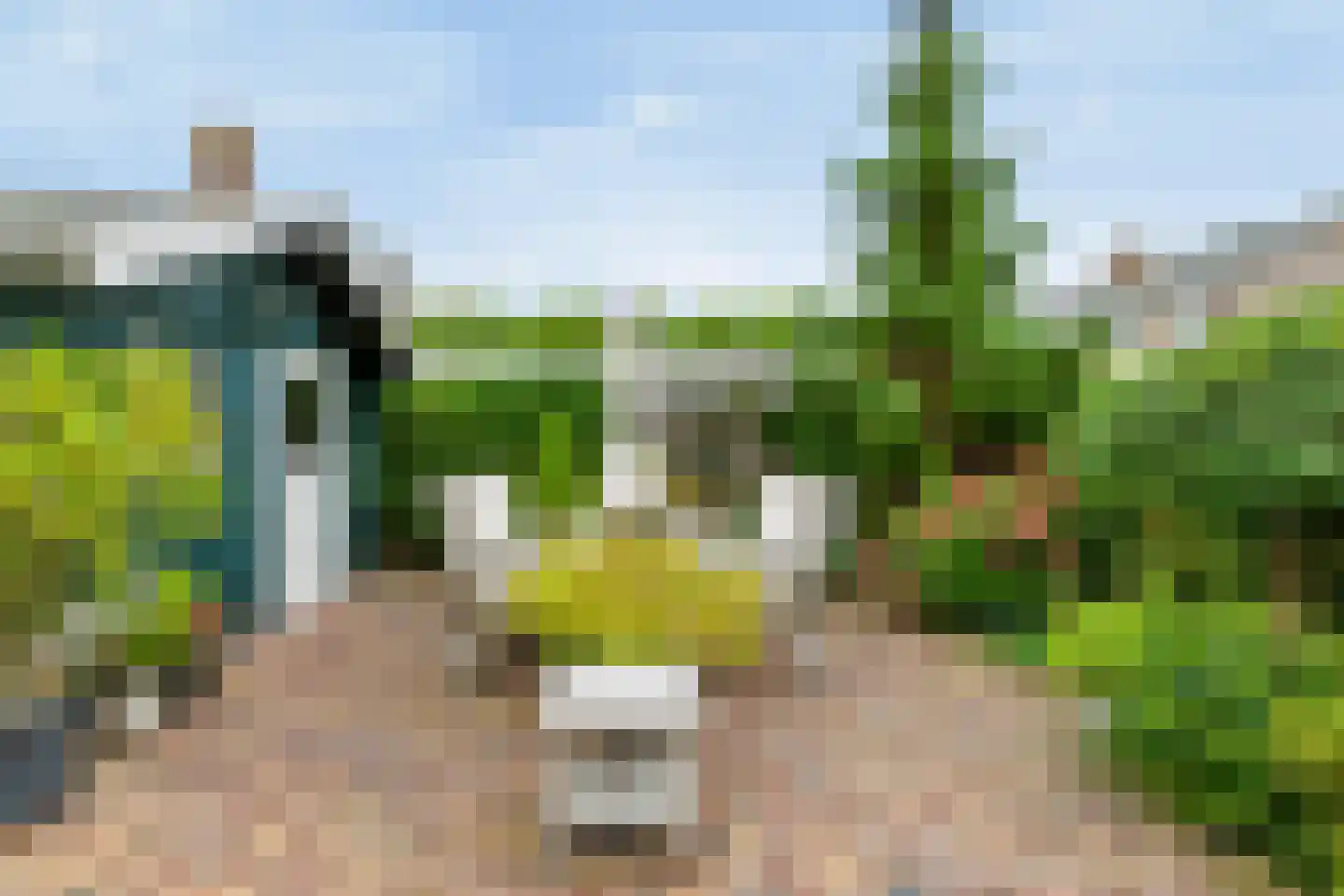 Professor Zeemanstraat 53 Zandvoort thumbnail 12