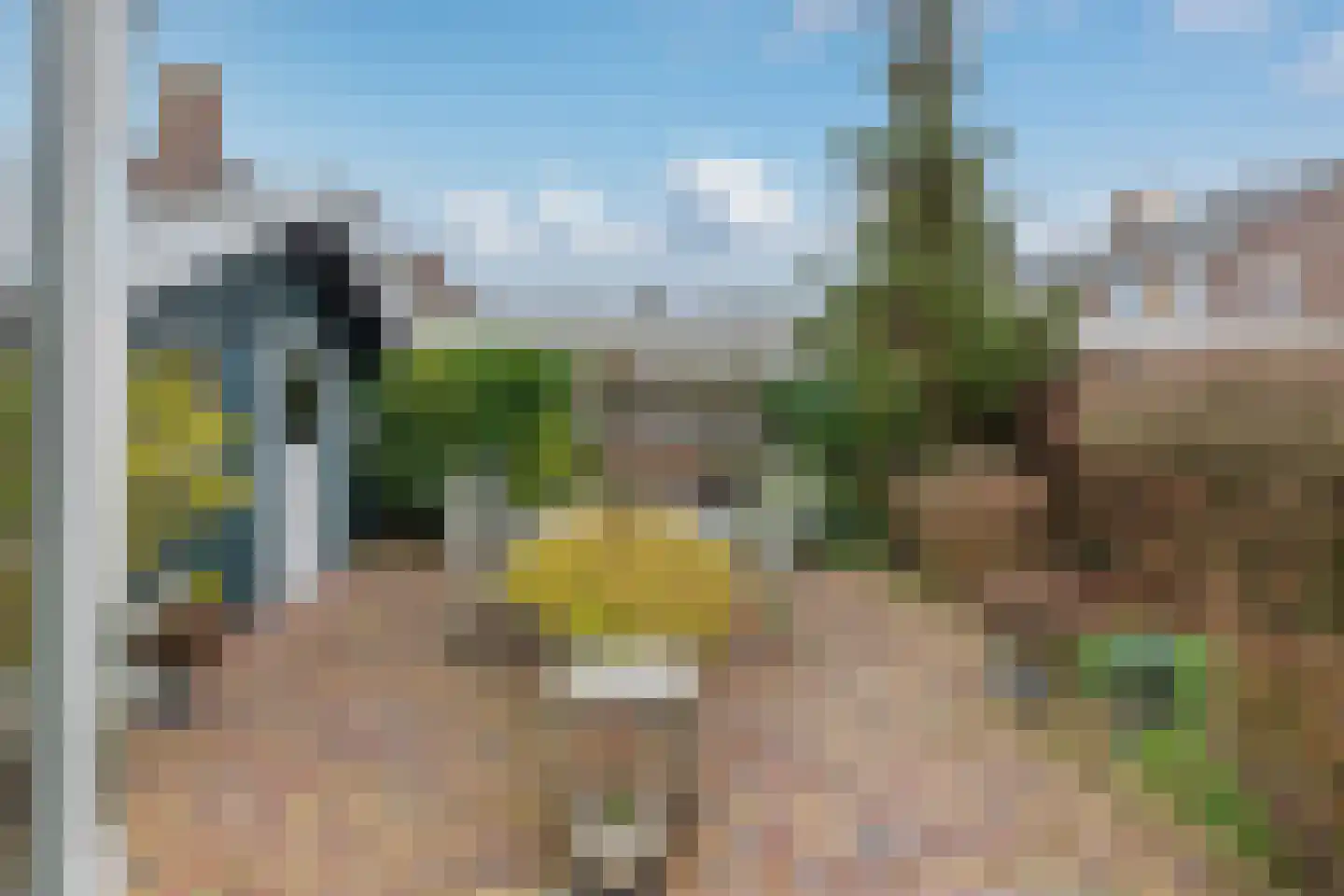 Professor Zeemanstraat 53 Zandvoort thumbnail 23