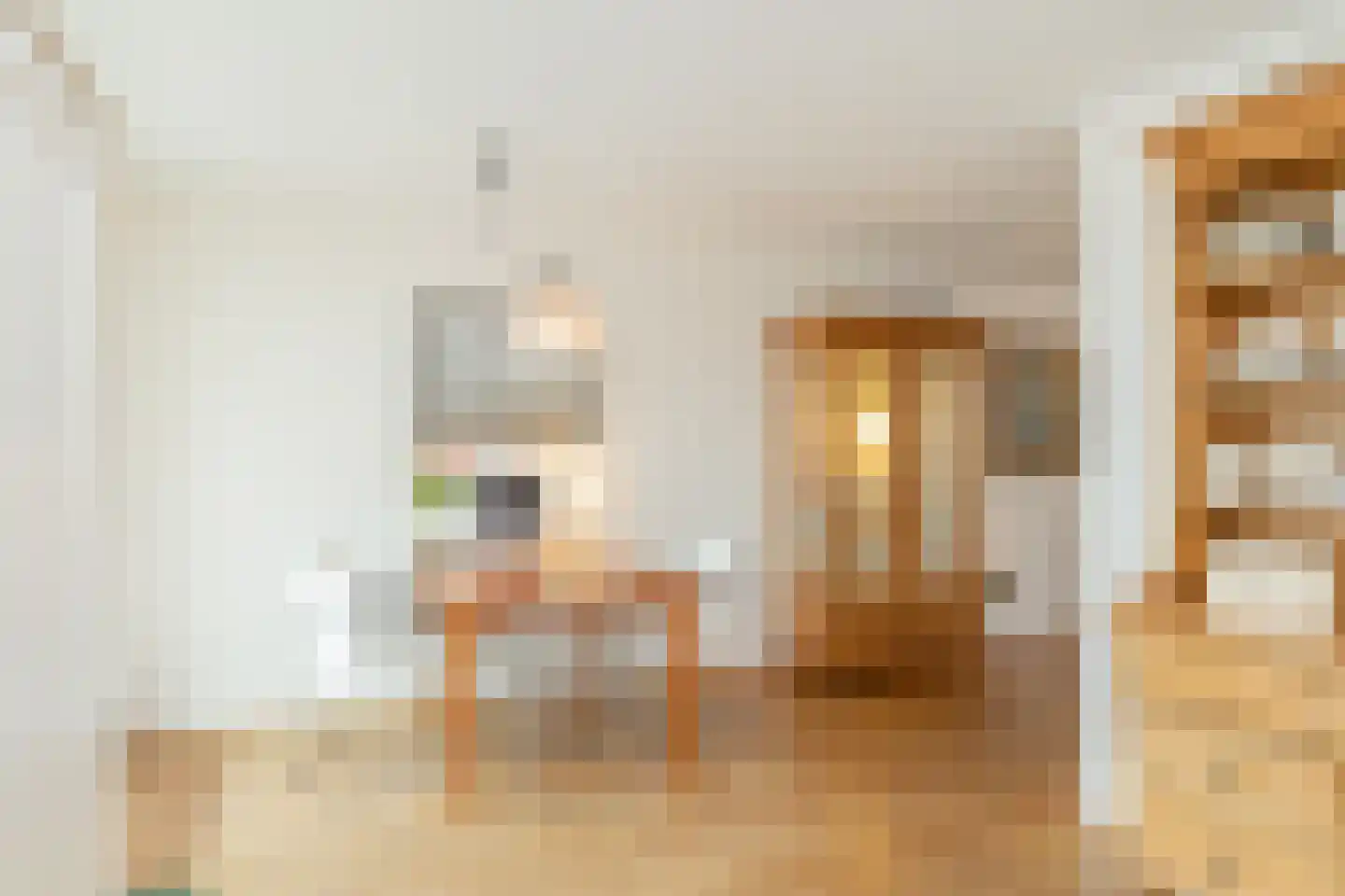 Professor Zeemanstraat 53 Zandvoort thumbnail 32