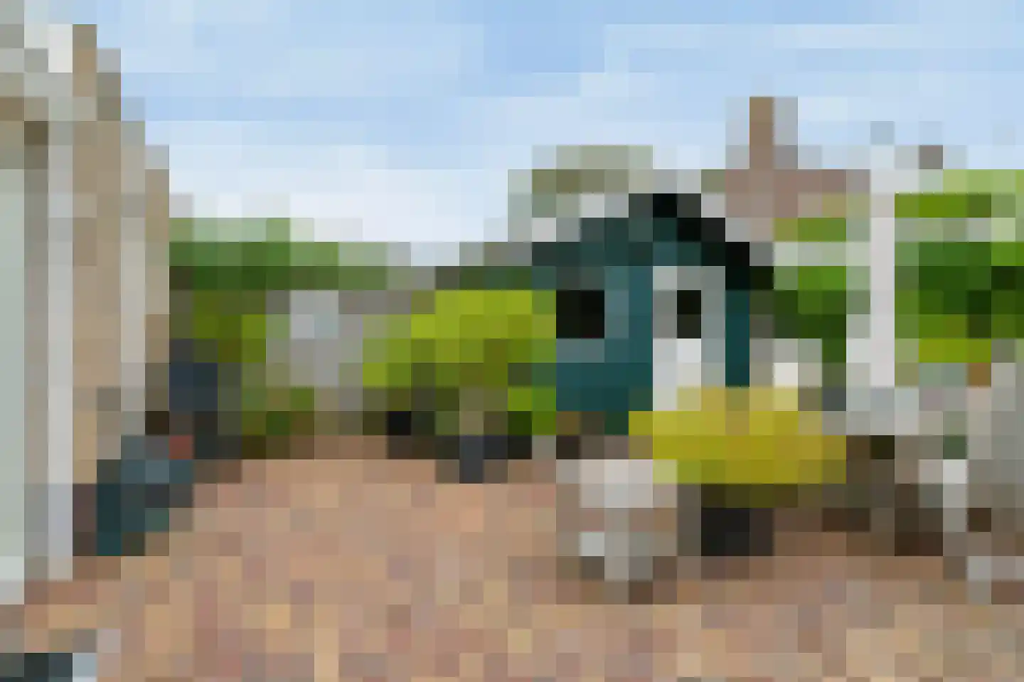 Professor Zeemanstraat 53 Zandvoort thumbnail 6