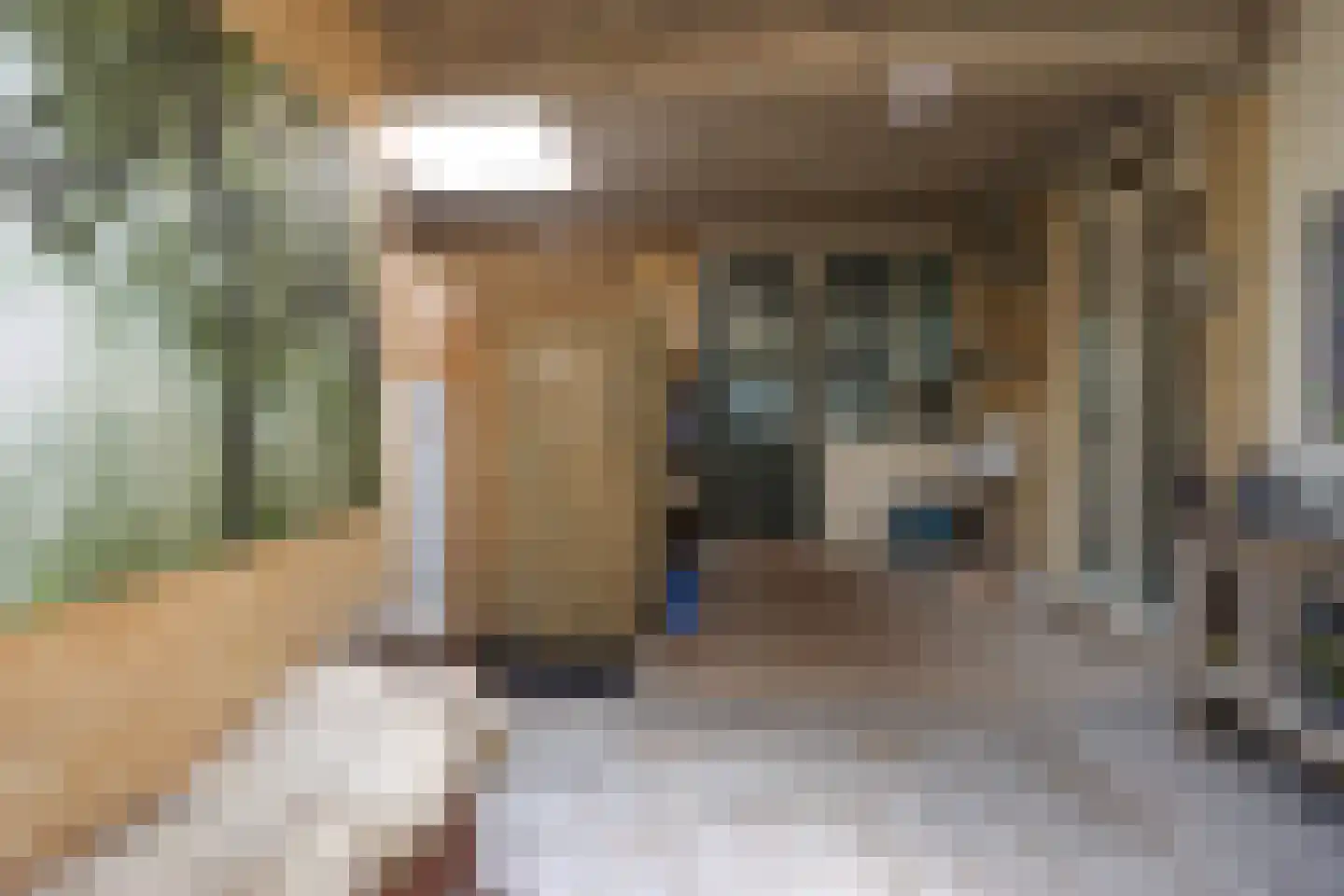 Professor Zuurlaan 12 A Biddinghuizen thumbnail 34
