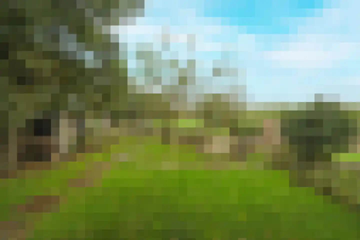 Professor Zuurlaan 12 A Biddinghuizen thumbnail 37