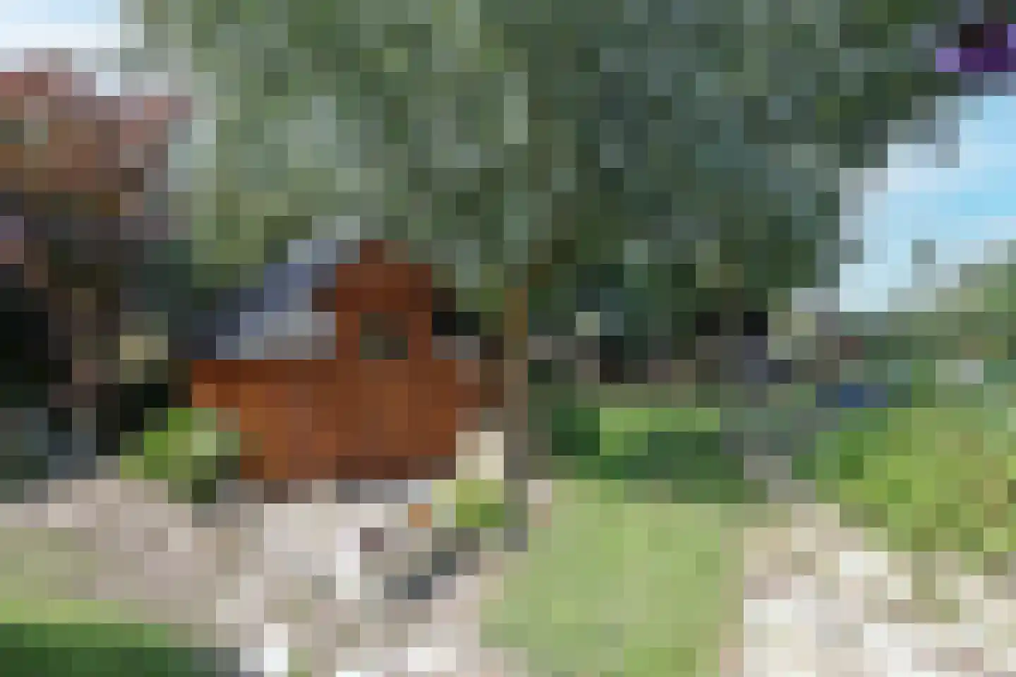 Professor Zuurlaan 12 A Biddinghuizen thumbnail 42
