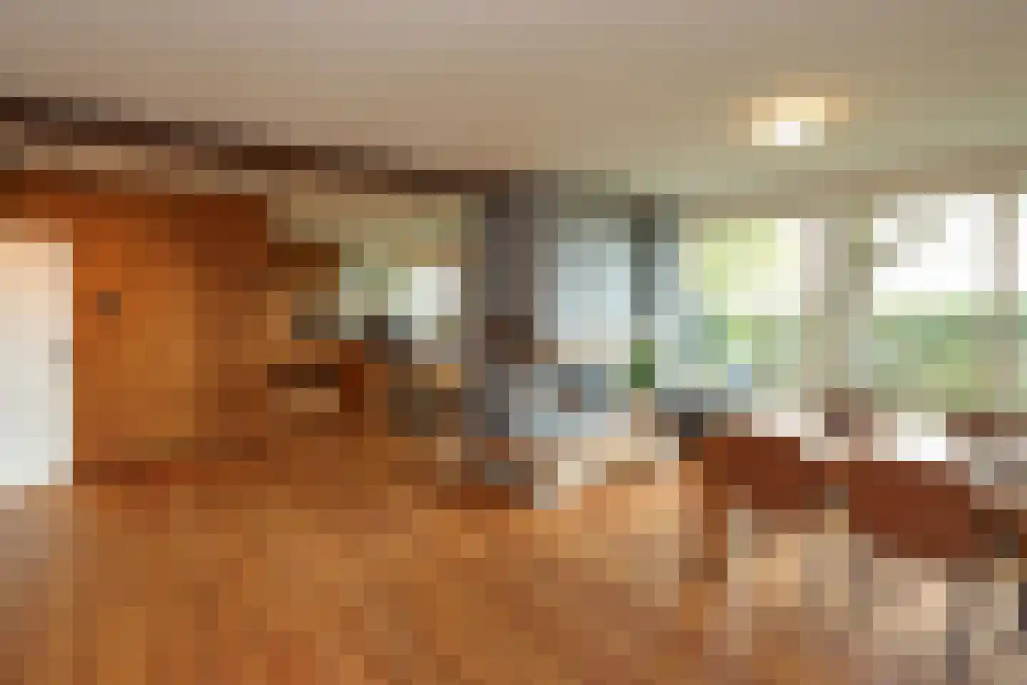 Professor Zuurlaan 12 A Biddinghuizen thumbnail 5