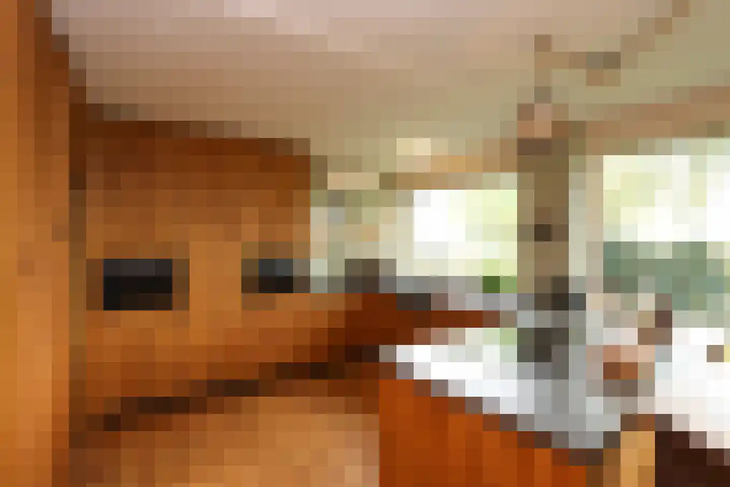 Professor Zuurlaan 12 A Biddinghuizen thumbnail 6