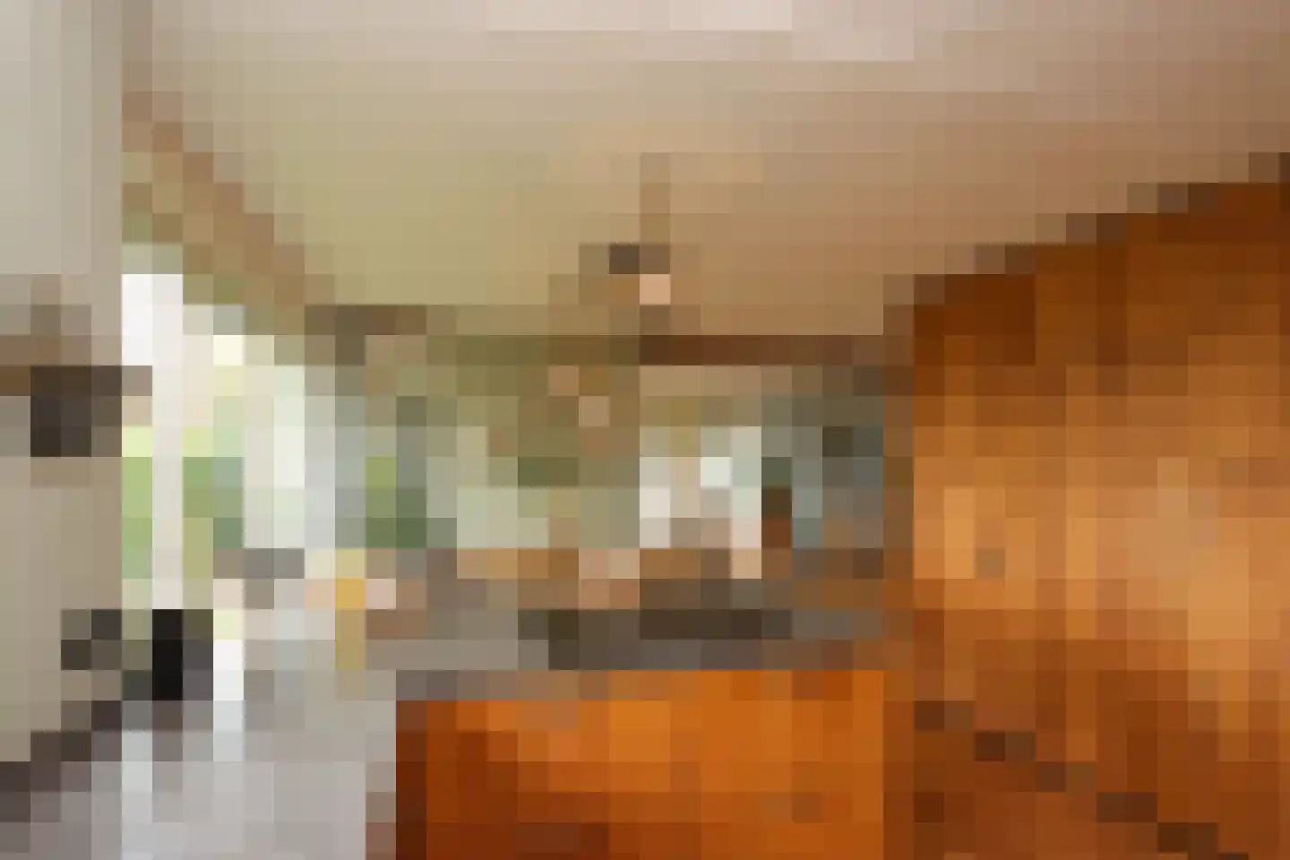 Professor Zuurlaan 12 A Biddinghuizen thumbnail 8