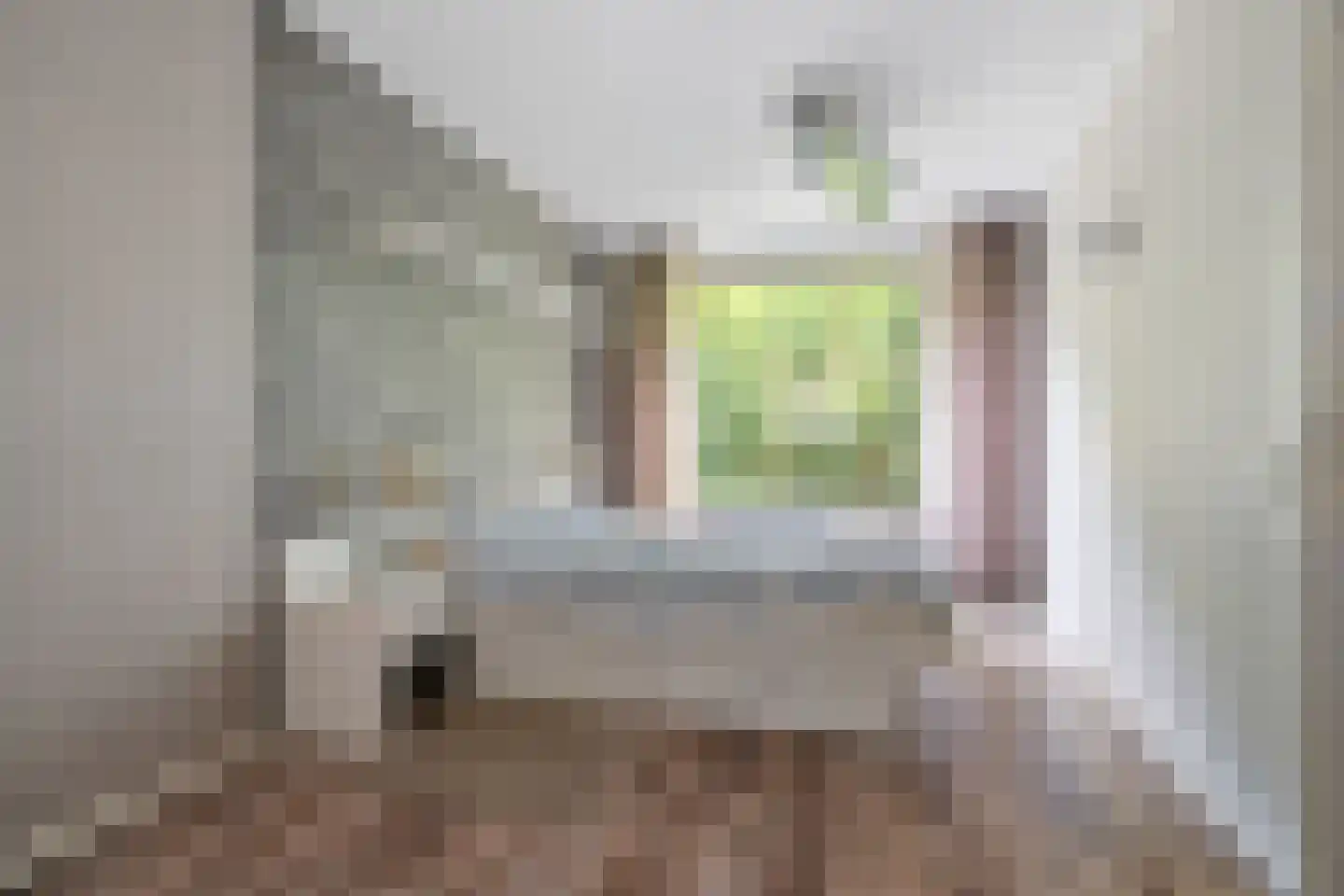 Professor Zuurlaan 25 Biddinghuizen thumbnail 22