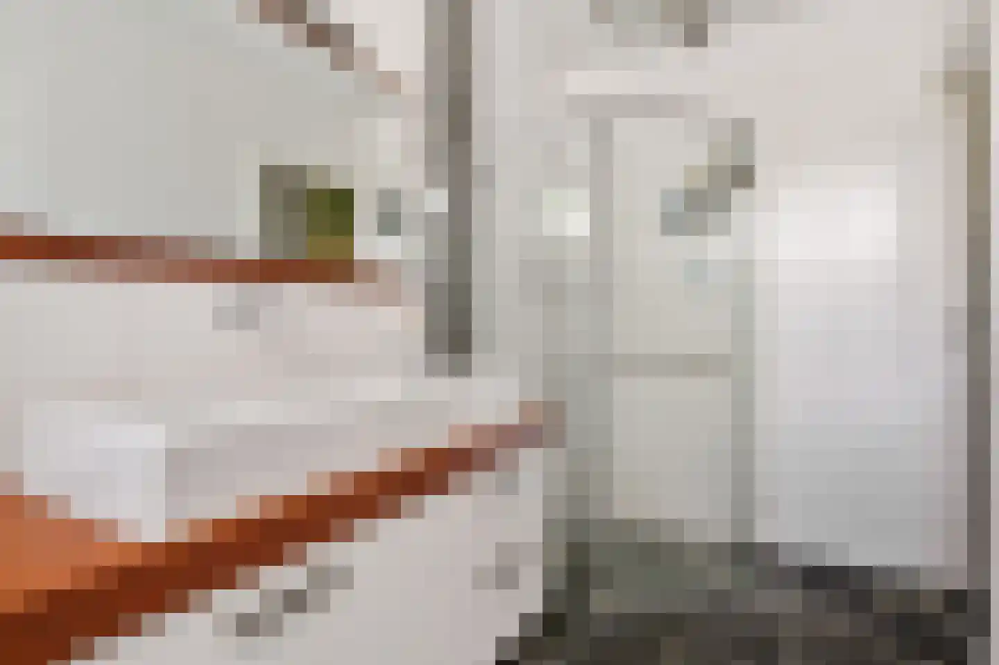 Professor Zuurlaan 25 Biddinghuizen thumbnail 26