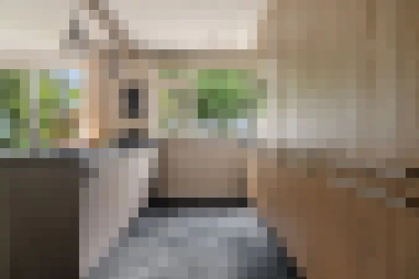 Professor Zuurlaan 25 Biddinghuizen foto 3
