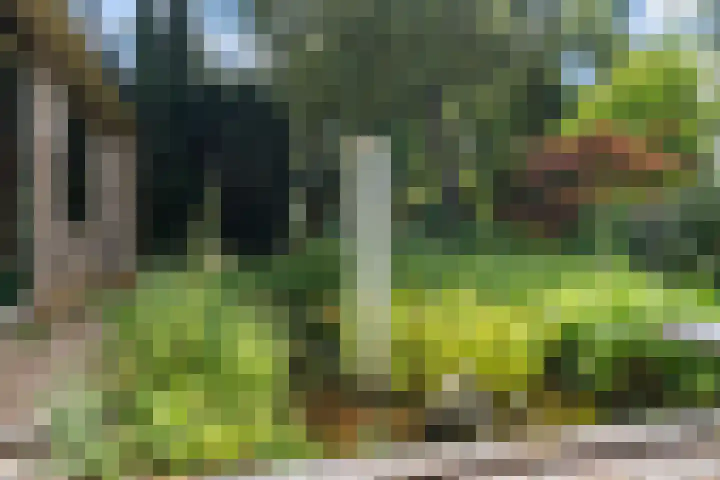 Professor Zuurlaan 25 Biddinghuizen thumbnail 37