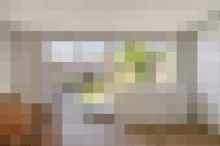 Prokofjevpad 4 Eindhoven thumbnail 13