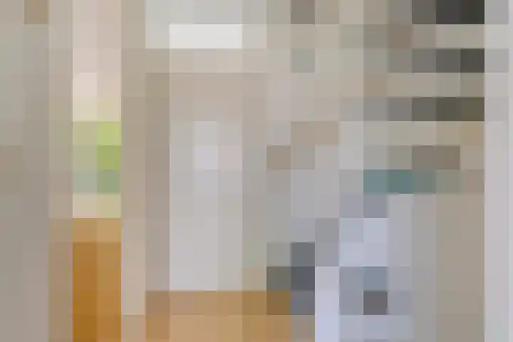 Prokofjevpad 4 Eindhoven thumbnail 14