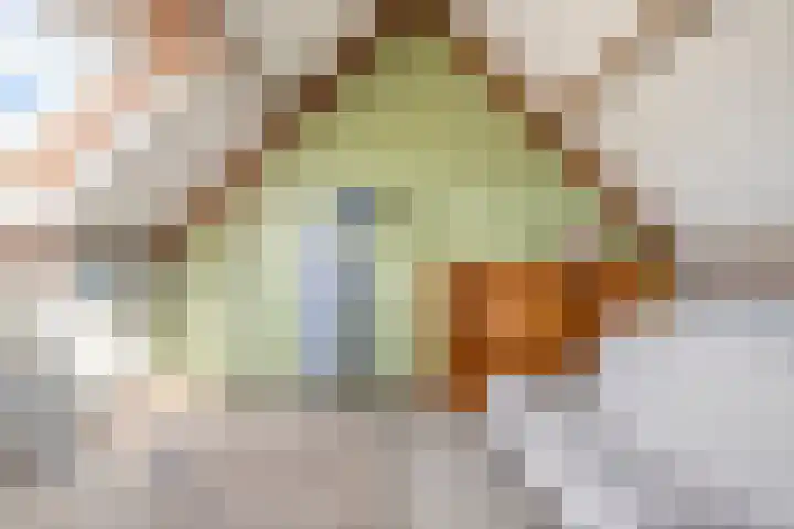 Prokofjevpad 4 Eindhoven thumbnail 21
