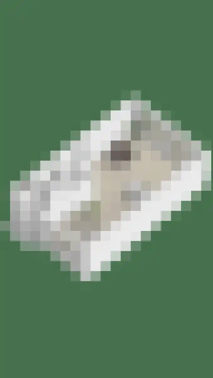 Prokofjevpad 4 Eindhoven thumbnail 32