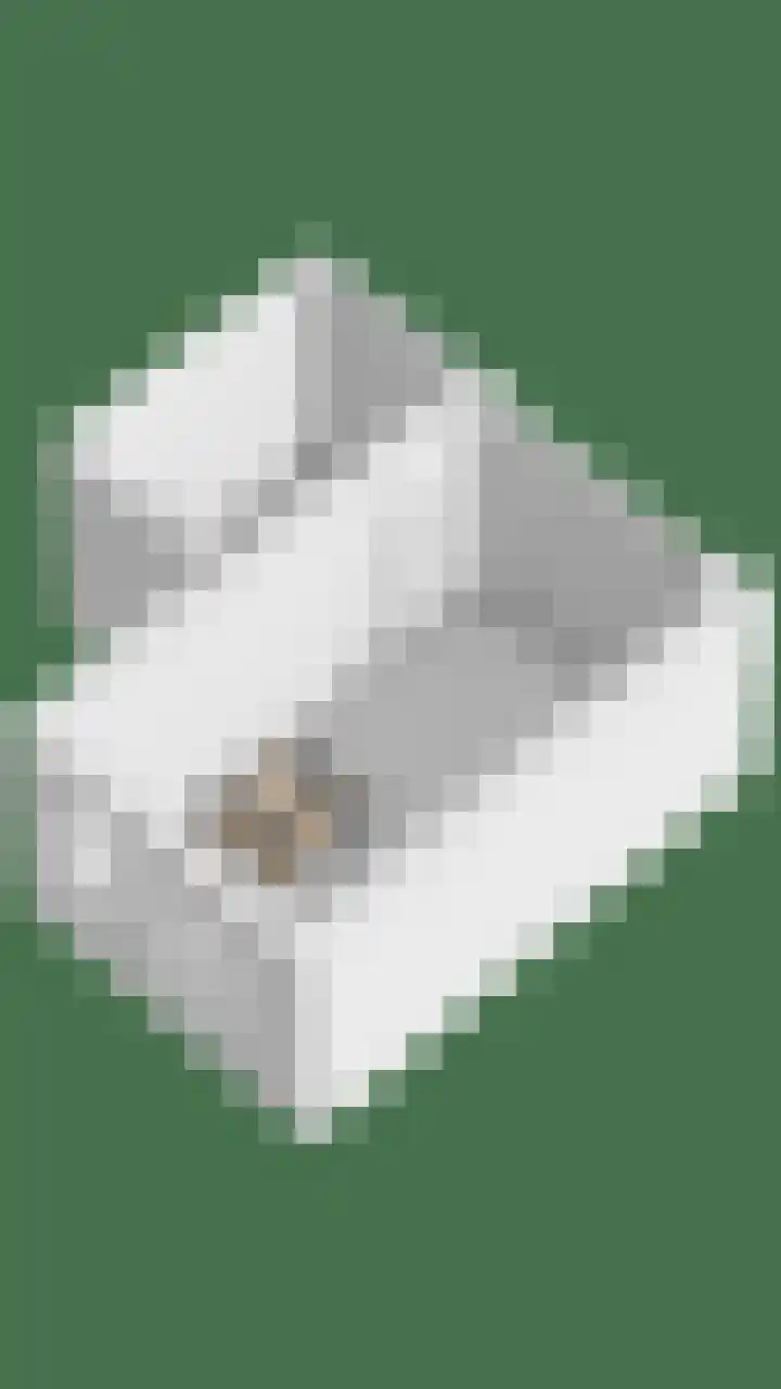 Prokofjevpad 4 Eindhoven thumbnail 38