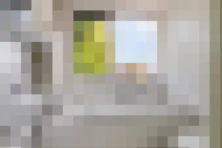 Prokofjevpad 4 Eindhoven thumbnail 5
