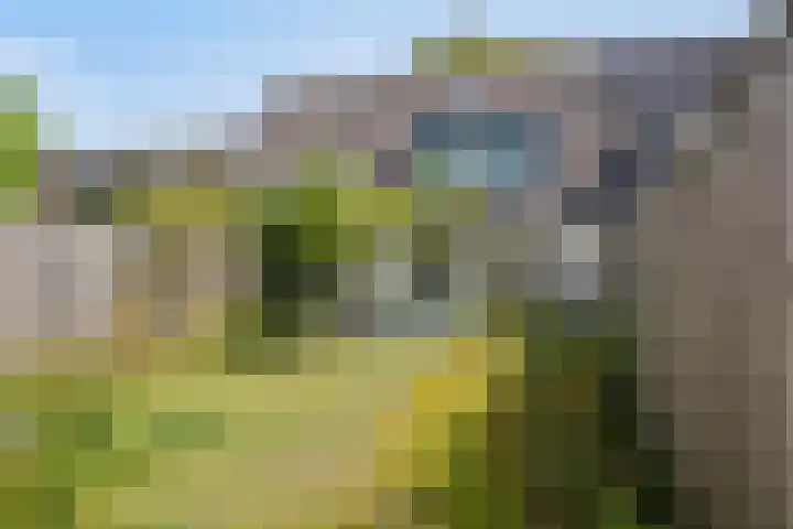 Prokofjevpad 4 Eindhoven thumbnail 6