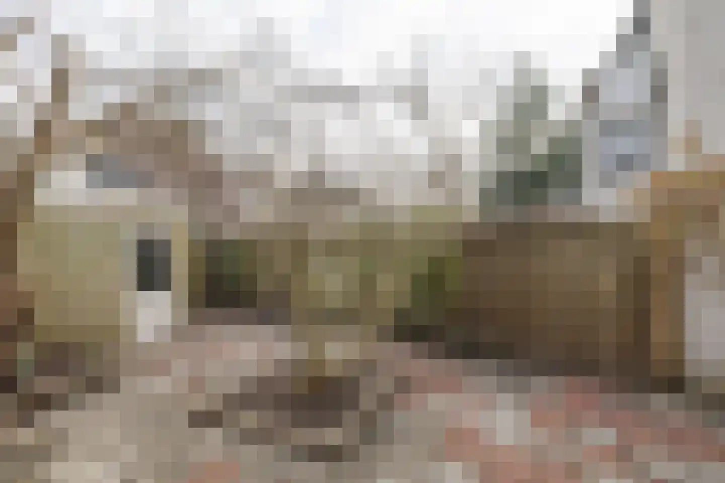 Prokofjevstraat 88 Almere thumbnail 20