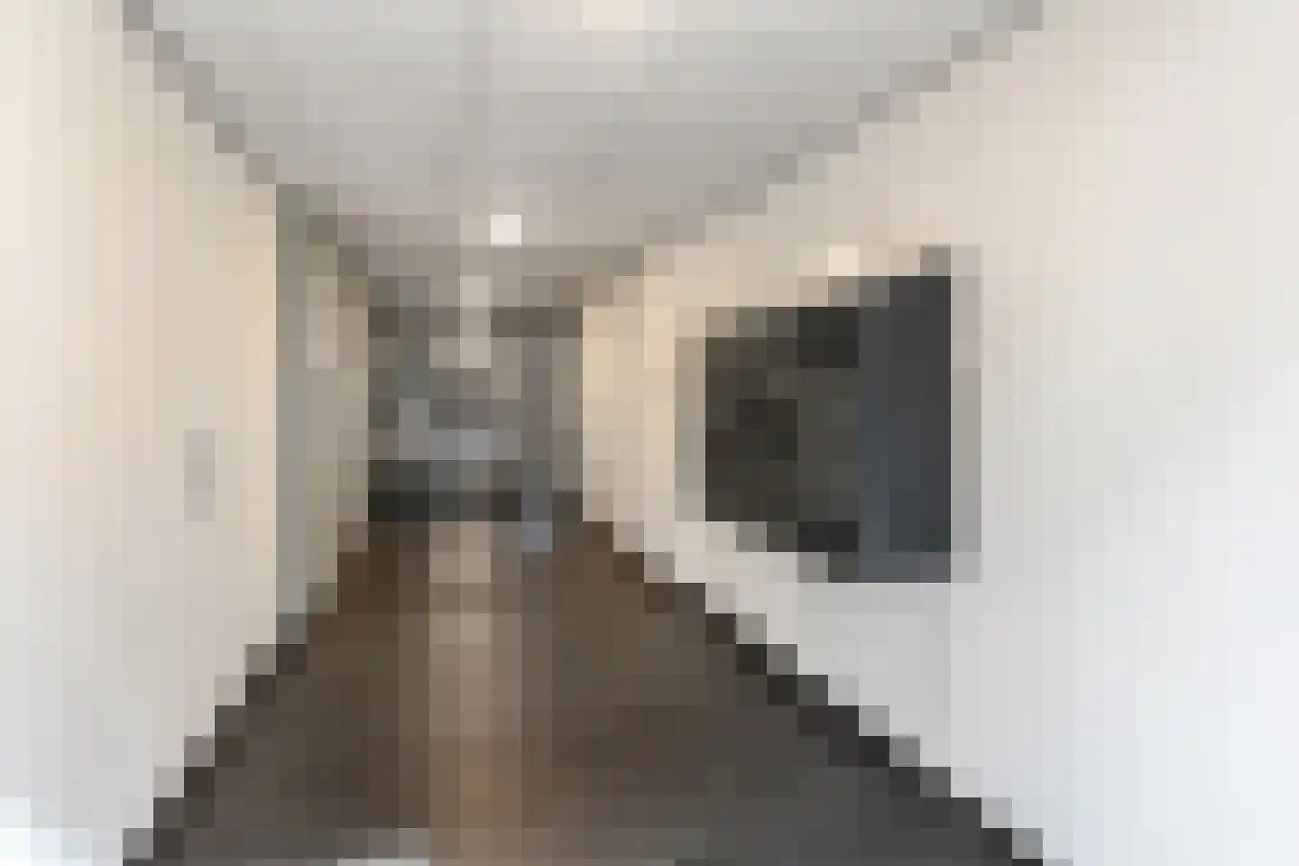 Promenade 142 Zoetermeer thumbnail 7