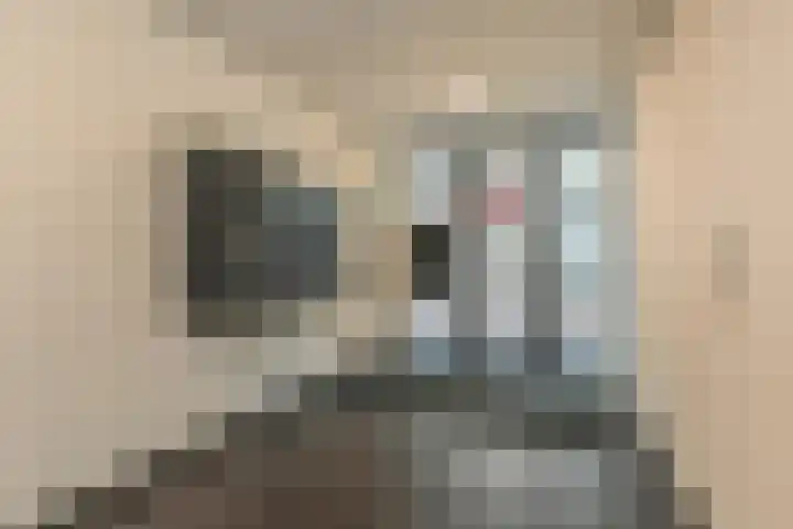 Promenade 150 Zoetermeer thumbnail 6