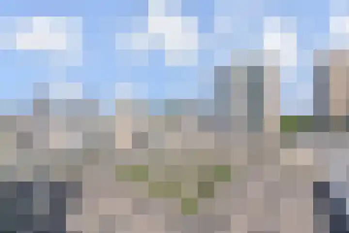 Promenade 252 Zoetermeer thumbnail 13