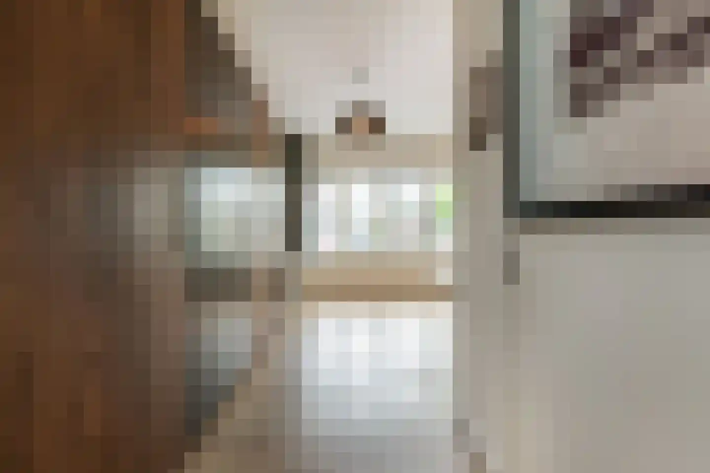 Promenade 315 Zoetermeer thumbnail 31