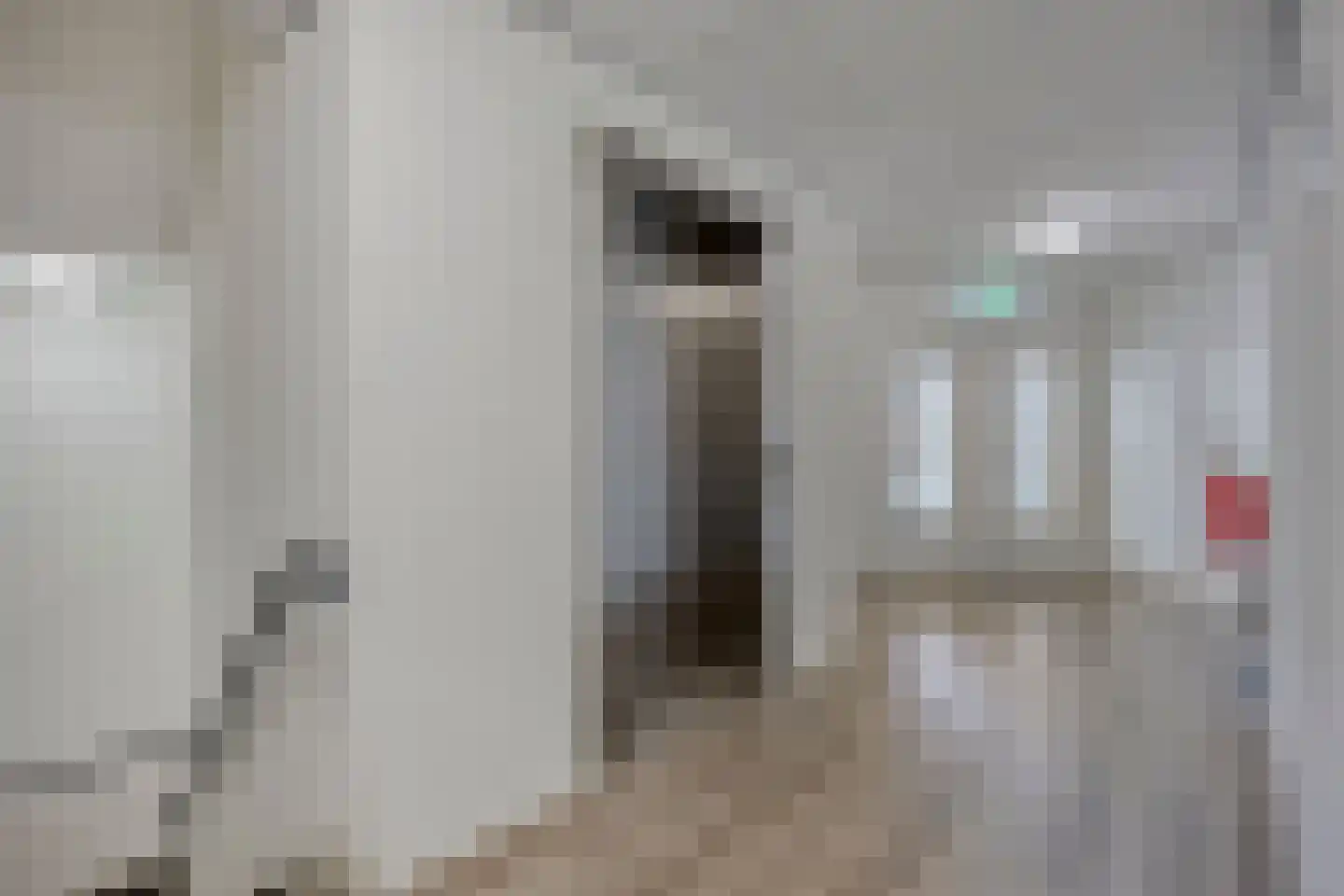 Promenade 317 Zoetermeer thumbnail 34