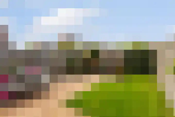 Promenade 49 Wijk bij Duurstede thumbnail 18