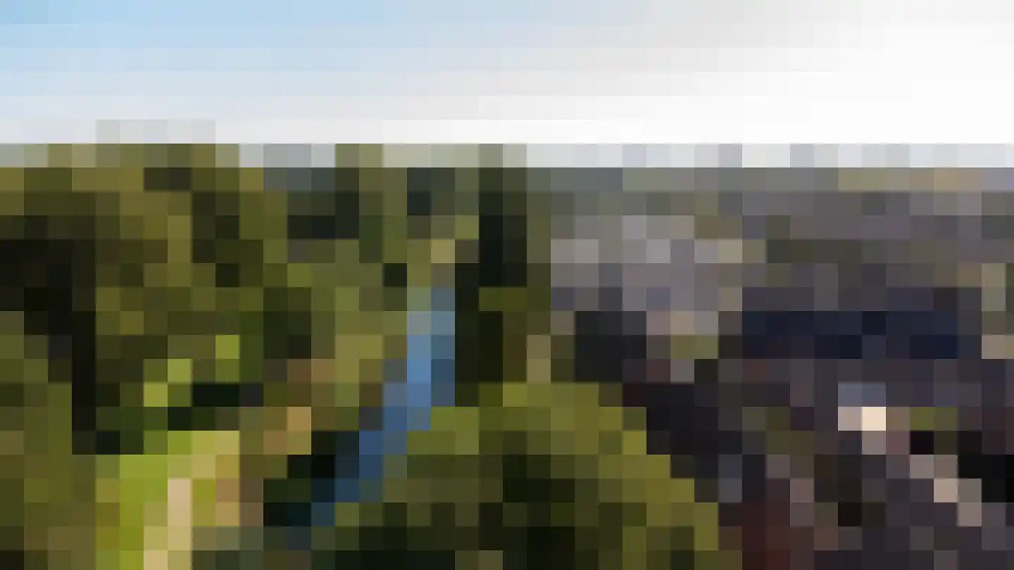 Promenade 57 Heemskerk thumbnail 4