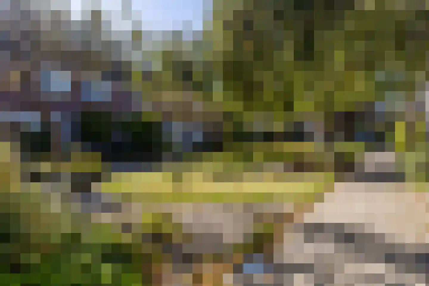 Promenade 57 Heemskerk thumbnail 44