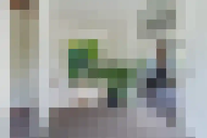 Prometheusstraat 13 Rotterdam thumbnail 17