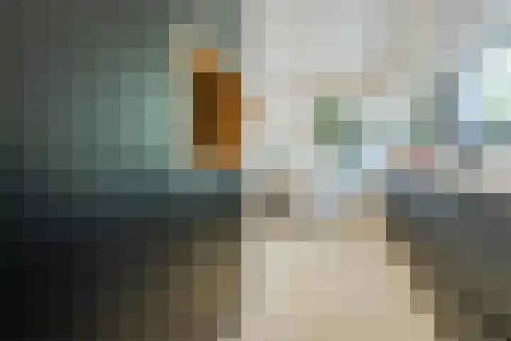 Prometheusstraat 13 Rotterdam thumbnail 4