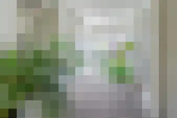 Prometheusstraat 13 Rotterdam thumbnail 6