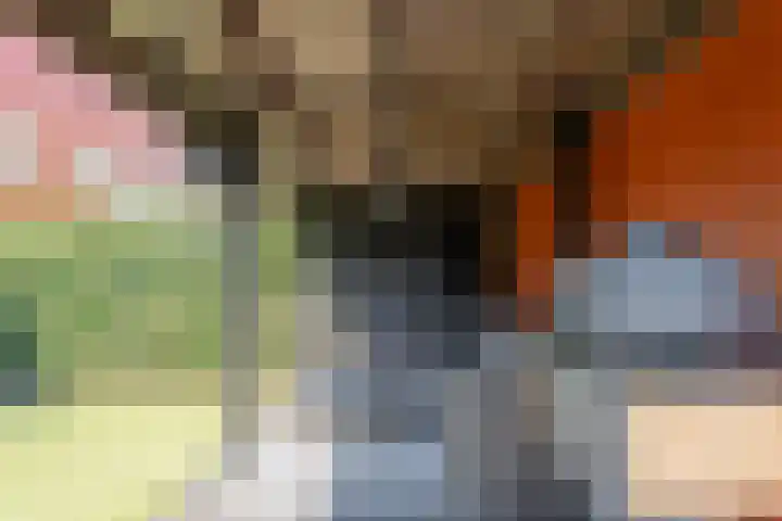Prometheusstraat 14 Rotterdam thumbnail 25