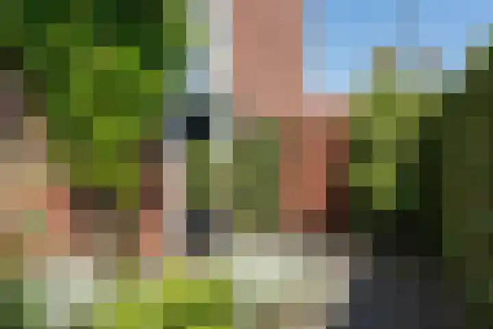 Prometheusstraat 14 Rotterdam thumbnail 7