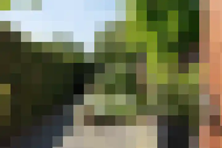 Prometheusstraat 14 Rotterdam thumbnail 8