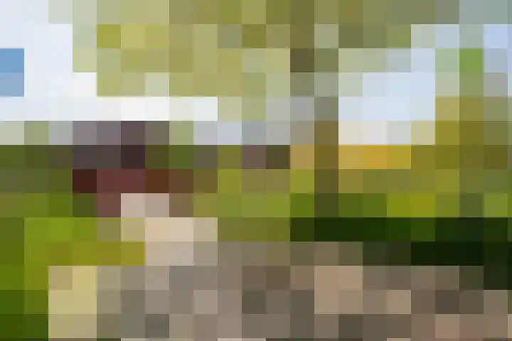 Prometheusstraat 5 Rotterdam thumbnail 15