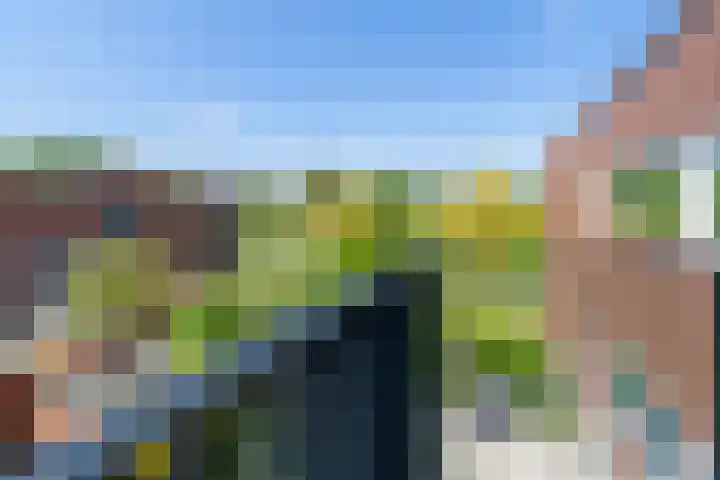 Prometheusstraat 5 Rotterdam thumbnail 5