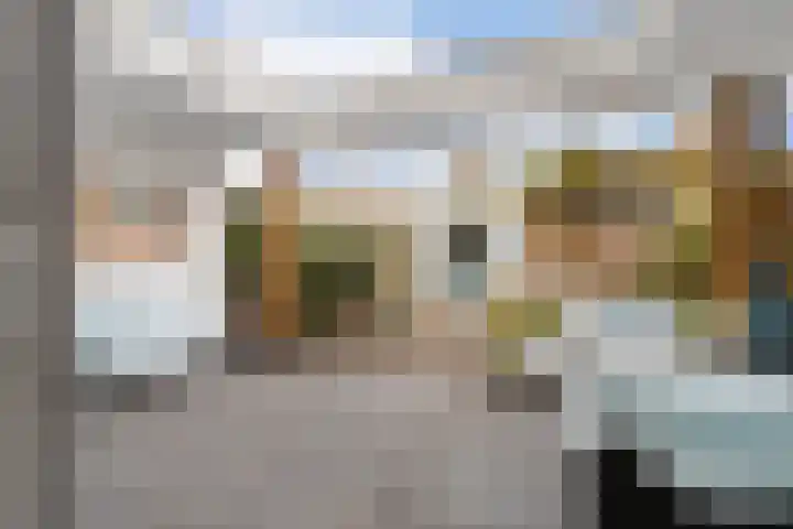 Pronkmos 11 Houten thumbnail 12