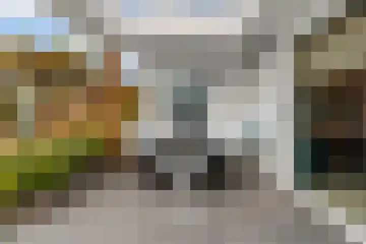 Pronkmos 11 Houten thumbnail 13
