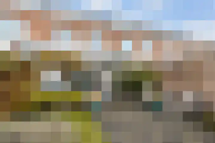 Pronkmos 11 Houten thumbnail 15