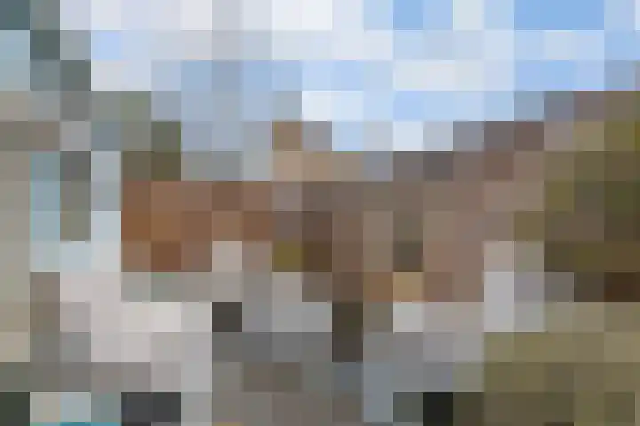 Pronkmos 11 Houten thumbnail 16