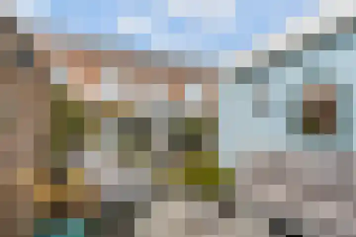 Pronkmos 11 Houten thumbnail 17