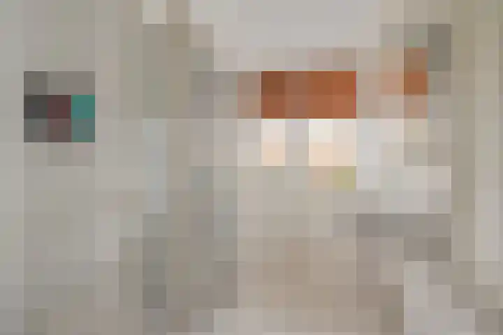 Pronkmos 11 Houten thumbnail 18