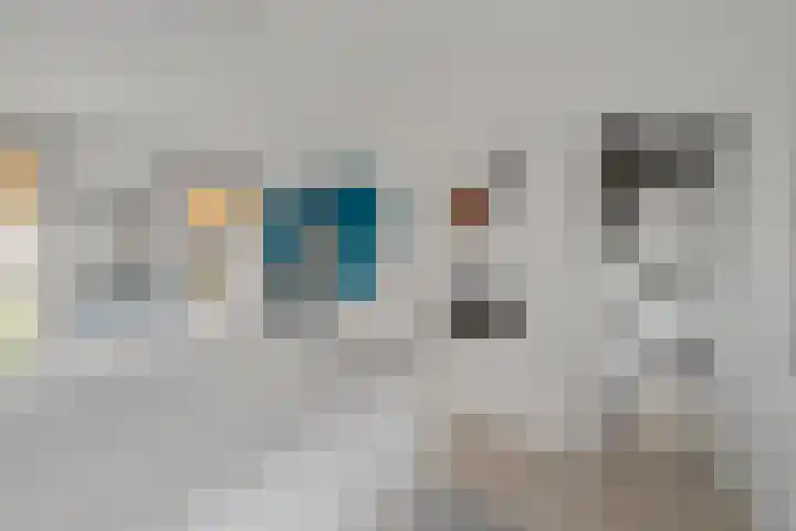 Pronkmos 11 Houten thumbnail 26