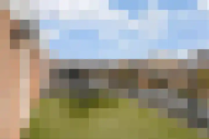 Pronkmos 11 Houten thumbnail 27