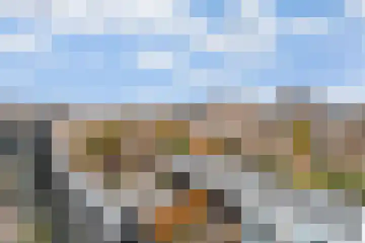 Pronkmos 11 Houten thumbnail 28