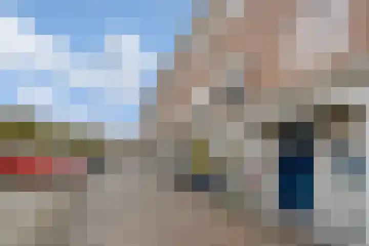 Pronkmos 11 Houten thumbnail 29